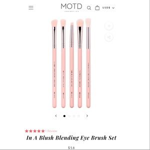 MODT blending eye brush set of 5 brushes